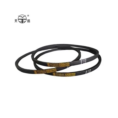 Đai V bình thường E